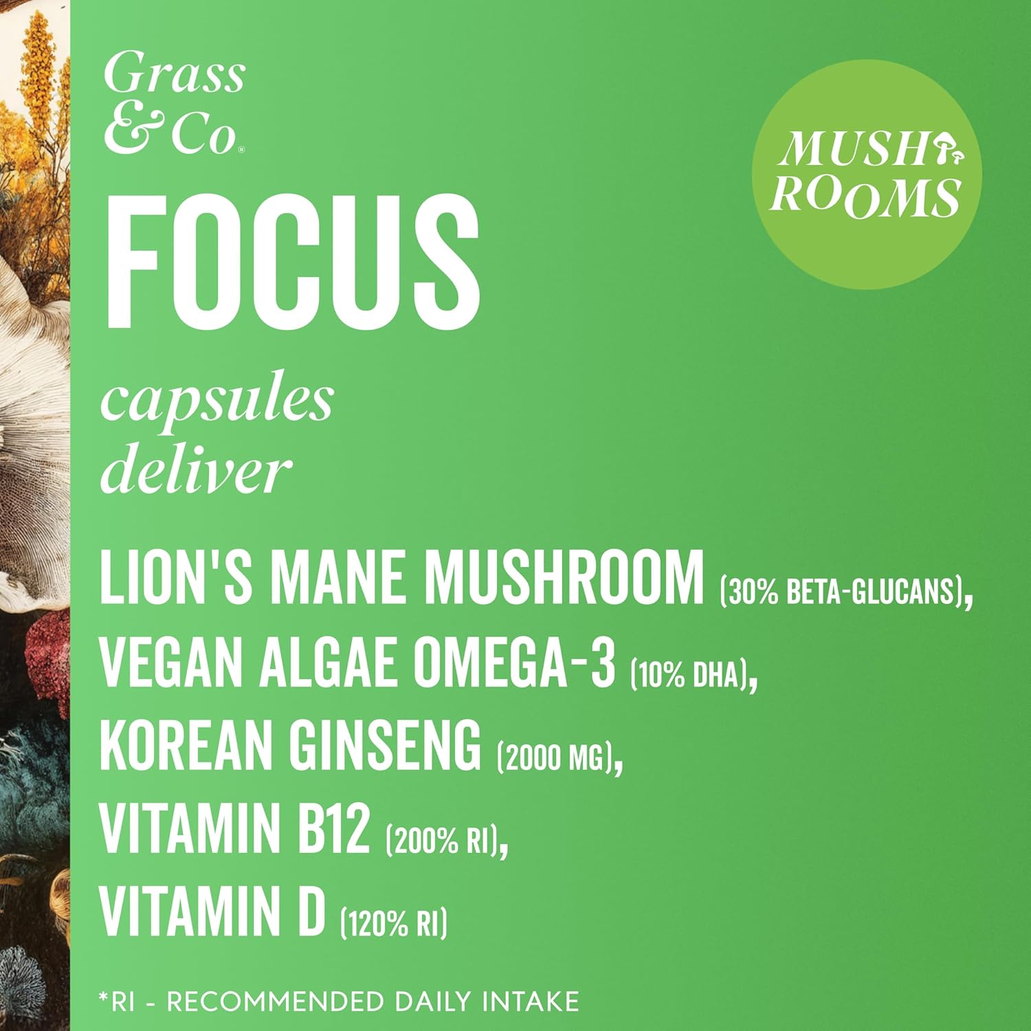 Grass & Co Focus Lion's Mane Mushrooms 60 Capsules