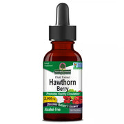 Nature’s Answer Hawthorn Berry Alcohol-Free Liquid Extract 30ml bottle front view
