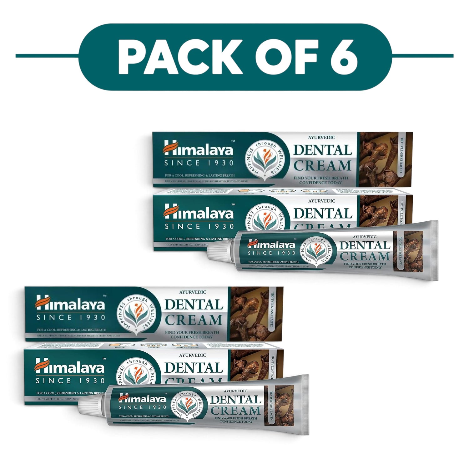 Himalaya Ayurvedic Dental Cream with Clove Oil 100g Pack of 6