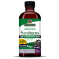 Nature’s Answer Sambucus Holunder-Flüssigkeitsextrakt – 120 ml