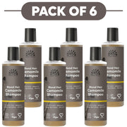 Urtekram Blond Hair Camomile Shampoo 250ml Pack of 6