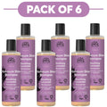 Urtekram Maximum Shine Soothing Lavender Shampoo 250ml Pack of 6