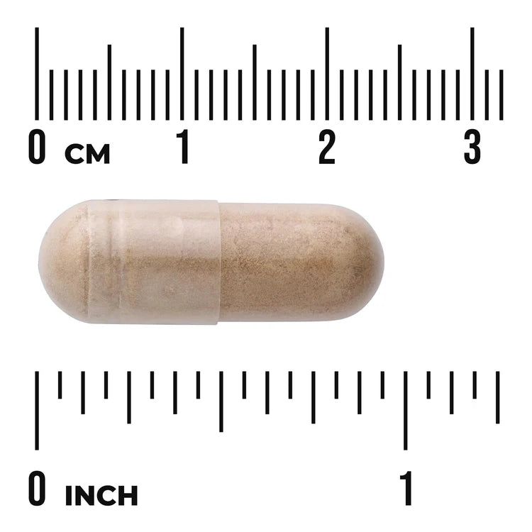 Swanson Avena Sativa 575mg 60 Capsules size