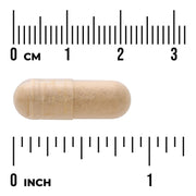 Swanson Maca 500mg 60 Vegan Capsules size comparison with measurement scale