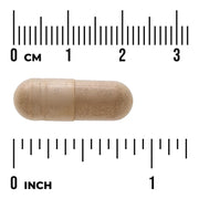 Swanson St. John's Wort Herb 375 mg - 120 Vegan Capsules size comparison with measurement scale
