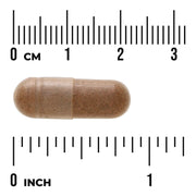 Swanson Grape Seed Green Tea Pine Bark herbal supplement capsule bottle 60 capsule size