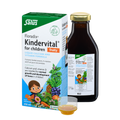 Complément liquide fruité Floradix Kindervital - 250 ml