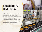 Egmont New Zealand Manuka Honey UMF 12+ from honey to jar