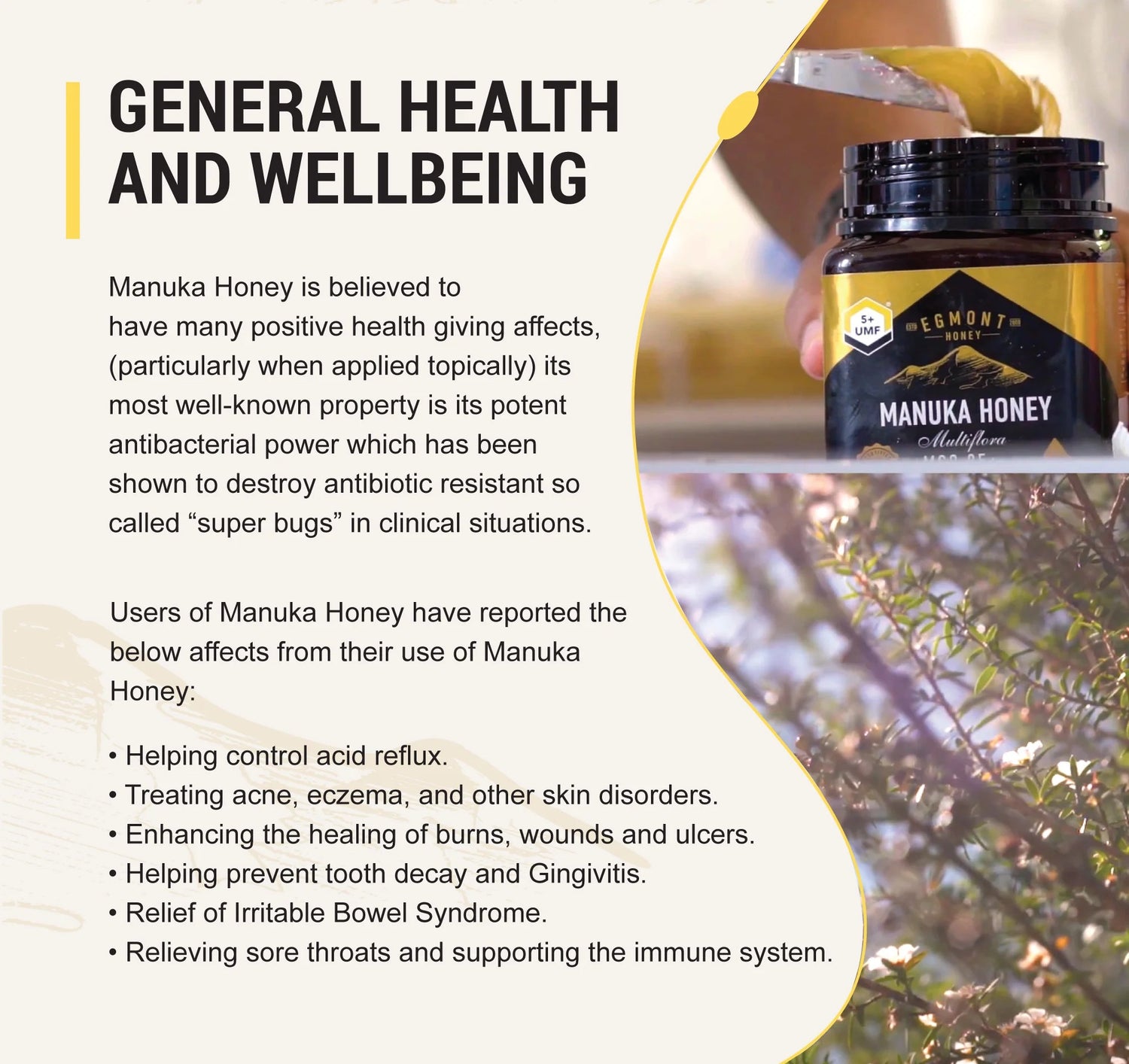 Supplement facts & ingredients image: Egmont Manuka honey label UMF 12 plus jar 1kg