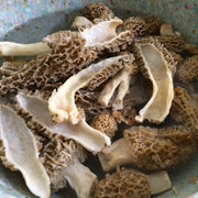 Grace of Earth Dried Morel Mushrooms 70g