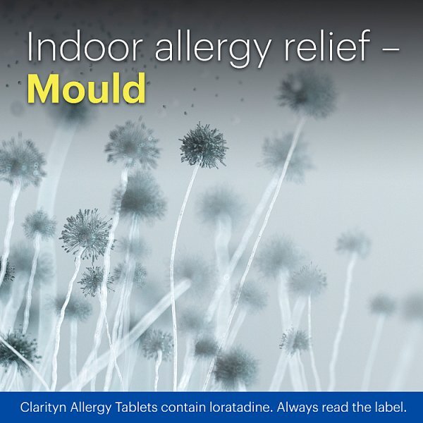 Clarityn Allergy Loratadine 10mg Tablets 10 Tablets outdoor allergy relief-mould