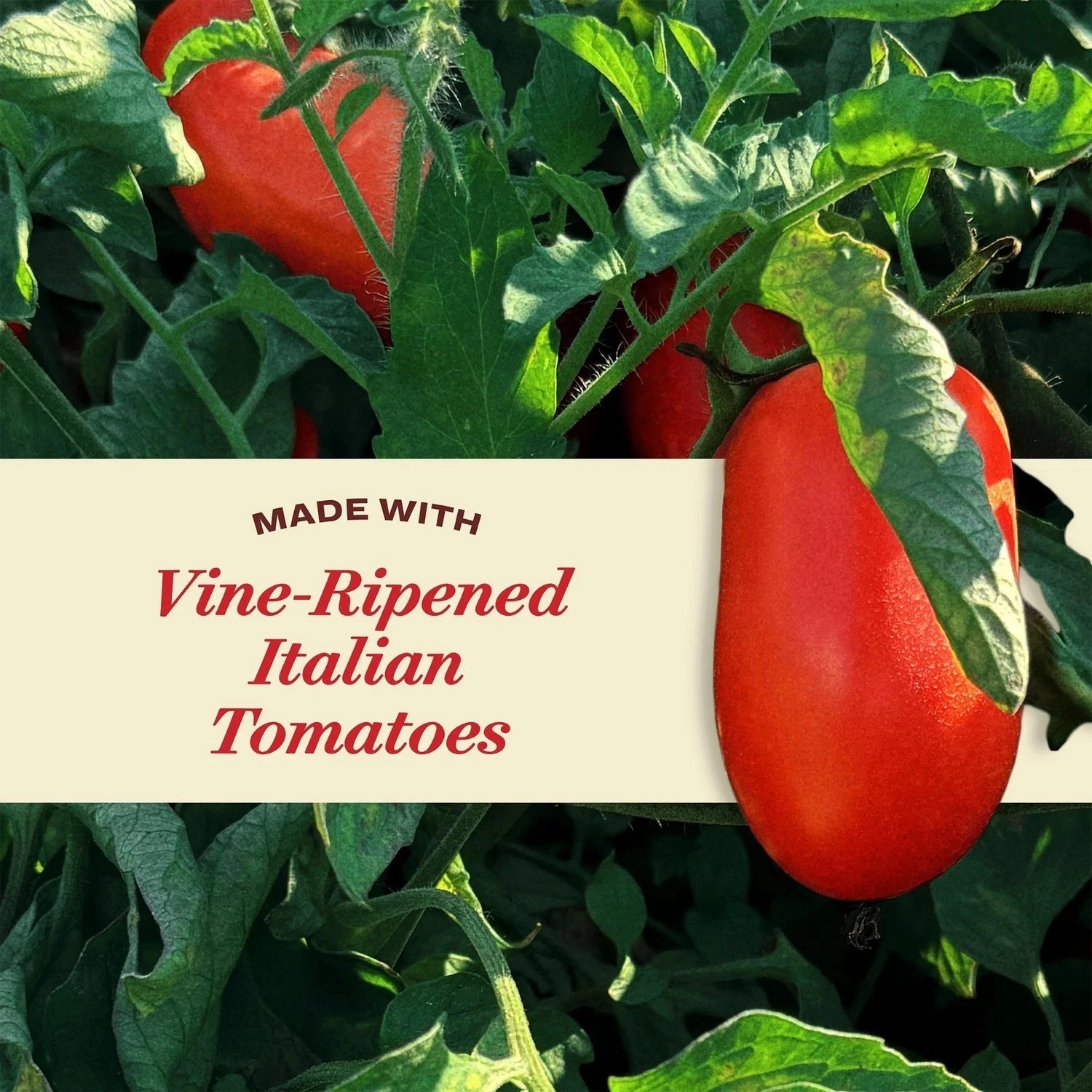 Rao's Homemade Marinara Sauce 790g made with vine ripened italian tomatoes