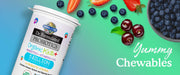 Garden of Life Kids Probiotic Organic Chewable - with Vitamin C & D